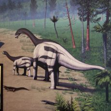 Day 10 – Dinosaur National Monument