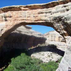 Day 15 Natural Bridges National Monument