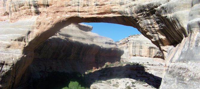 Day 15 Natural Bridges National Monument